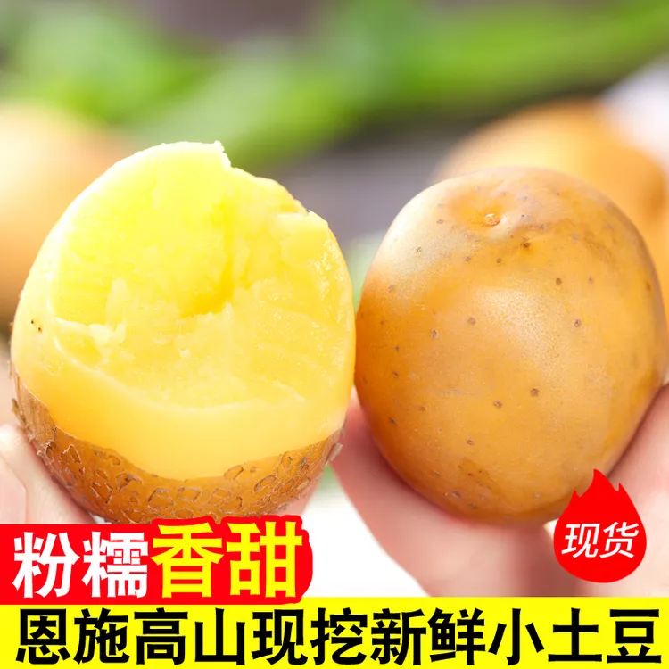恩施小土豆现挖湖北新鲜黄心土豆3/5/9斤当季蔬菜迷你马铃薯洋芋