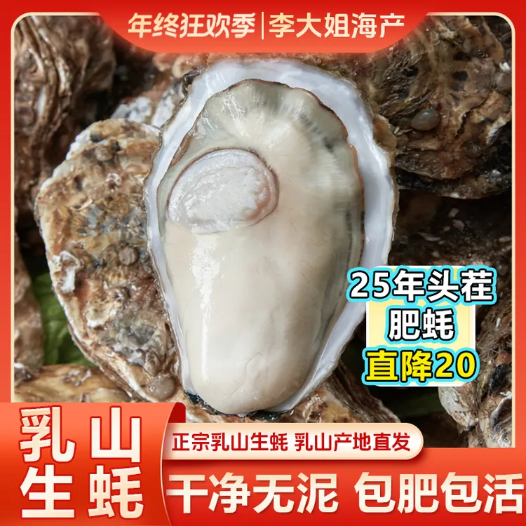 【李大姐】 乳山生蚝牡蛎 源产地现捞直发 鲜活到家 5斤/8斤装