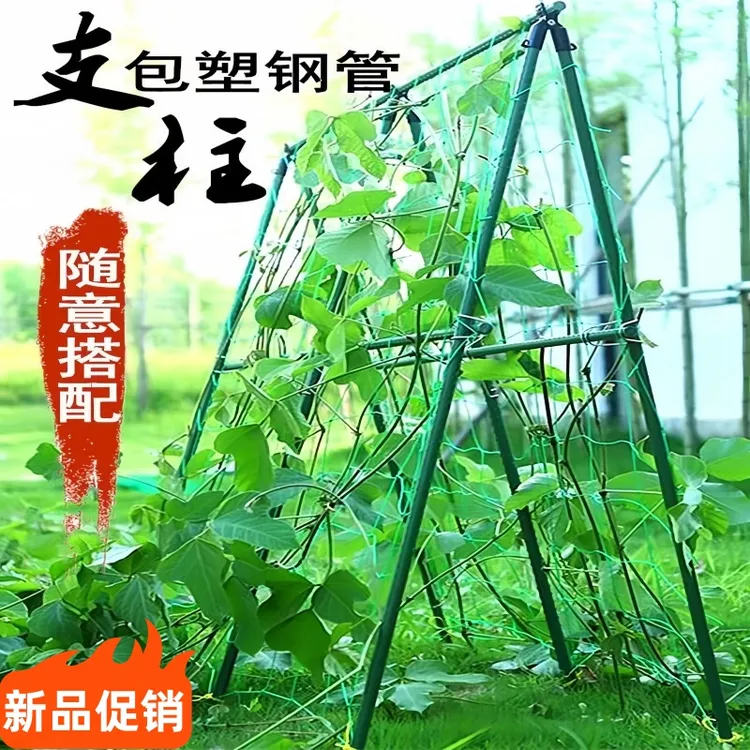 黄瓜豆角菜园支架爬藤支架园艺支撑杆葡萄支架子爬藤杆蔬菜爬藤架