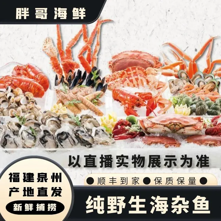 胖哥海鲜【纯野生杂鱼】福建泉州祥芝码头捕捞野生杂鱼