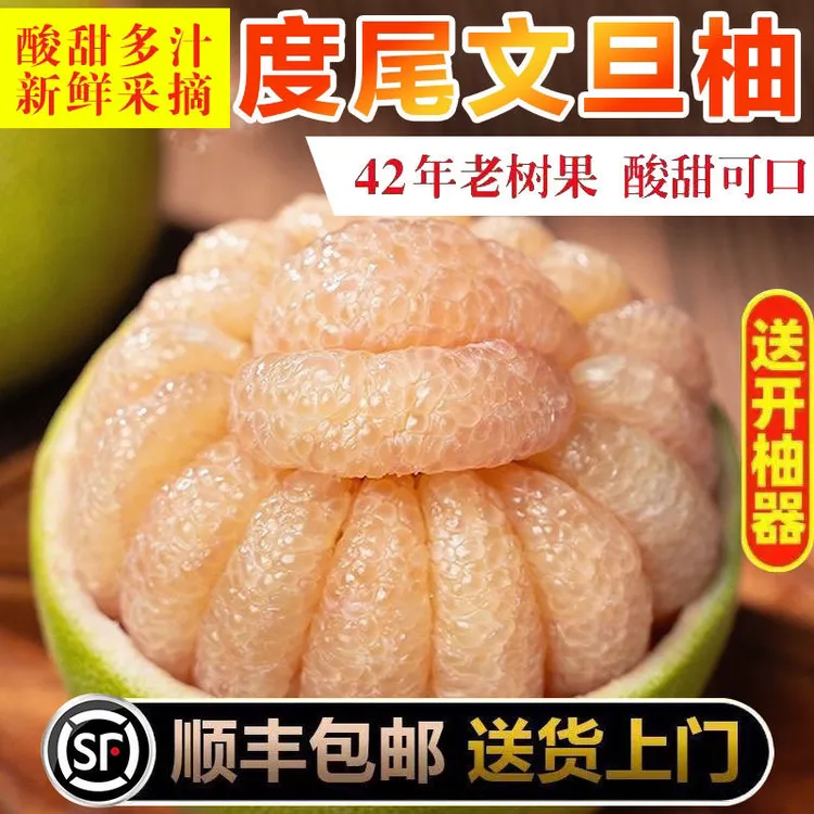 顺丰包邮正宗福建度尾文旦柚新鲜当季柚子孕妇应季水果非红心柚
