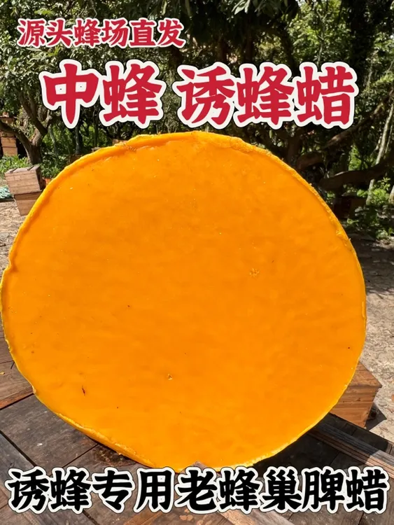 诱蜂蜡中蜂蜡诱蜂用养蜂土蜂蜡天然纯蜂蜡神器招蜂诱蜂桶老蜂巢蜡