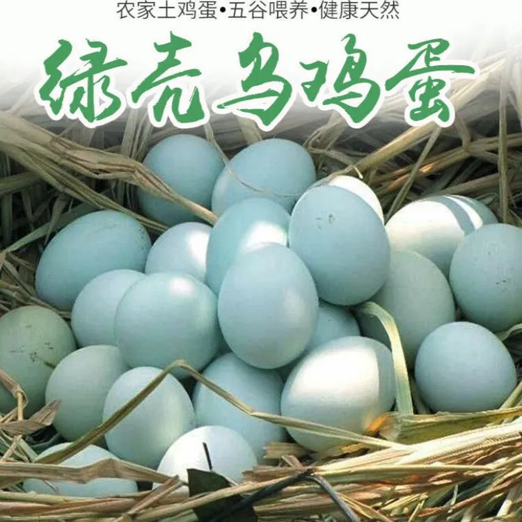【助农】30散养新鲜绿壳乌鸡蛋农家散养正宗土鸡蛋笨鸡蛋新鲜现捡
