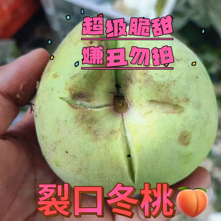 现摘脆蜜桃青皮蜜桃应季水果脆甜多汁孕妇食用小鹰嘴脆桃硬桃子