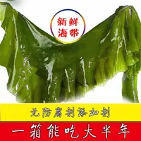 【2025年当季新海带】大连鲜嫩盐渍整颗海带五斤/含箱！饭包凉拌炖炒