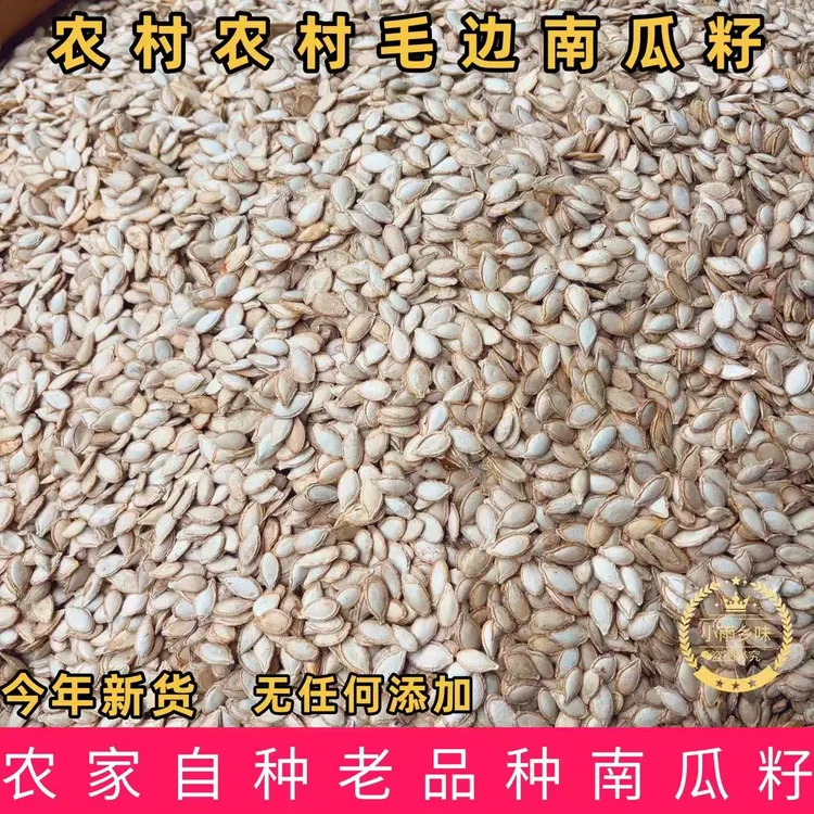 贵州农村新货生南瓜子农家自种毛边南瓜籽自然晾晒干无漂白老品种