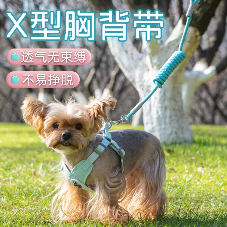 【宠大条】宠物狗背心式宠物牵引绳猫咪狗狗胸背带透气可调节遛狗链