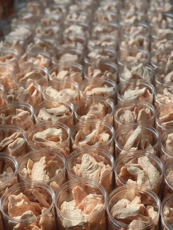 宠物冻干鸡胸肉鲜嫩可口猫狗通用零食原切鸡肉块无添加增肥营养