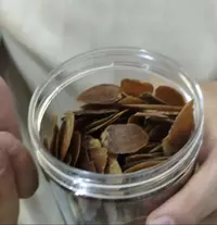 【袁凯推荐】红参片 山货