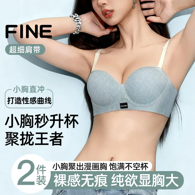 金逸兰冬上新小胸聚拢显大无痕内衣软支撑防下垂收副乳无钢圈文胸