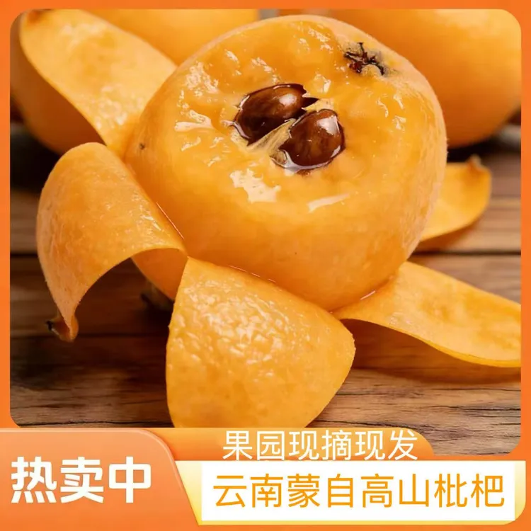 云南蒙自枇杷果肉透亮多汁甜润可口当季新鲜水果