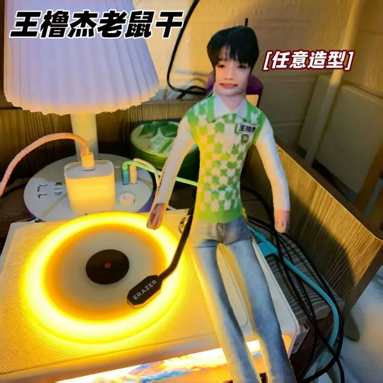 抽象玩偶公仔王橹杰28cm老鼠干无白边有骨架可摆任意造型玩偶