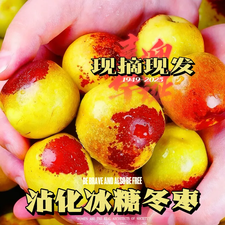 沾化冬枣山东特产沾化冰糖冬枣