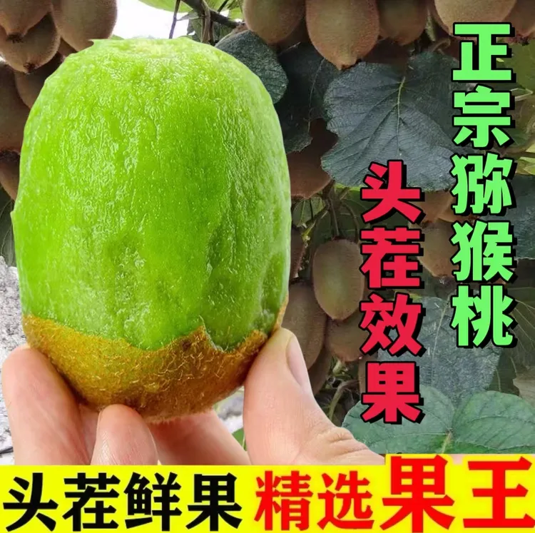 正宗绿心头茬猕猴桃当季新鲜水果软糯多汁香甜可口