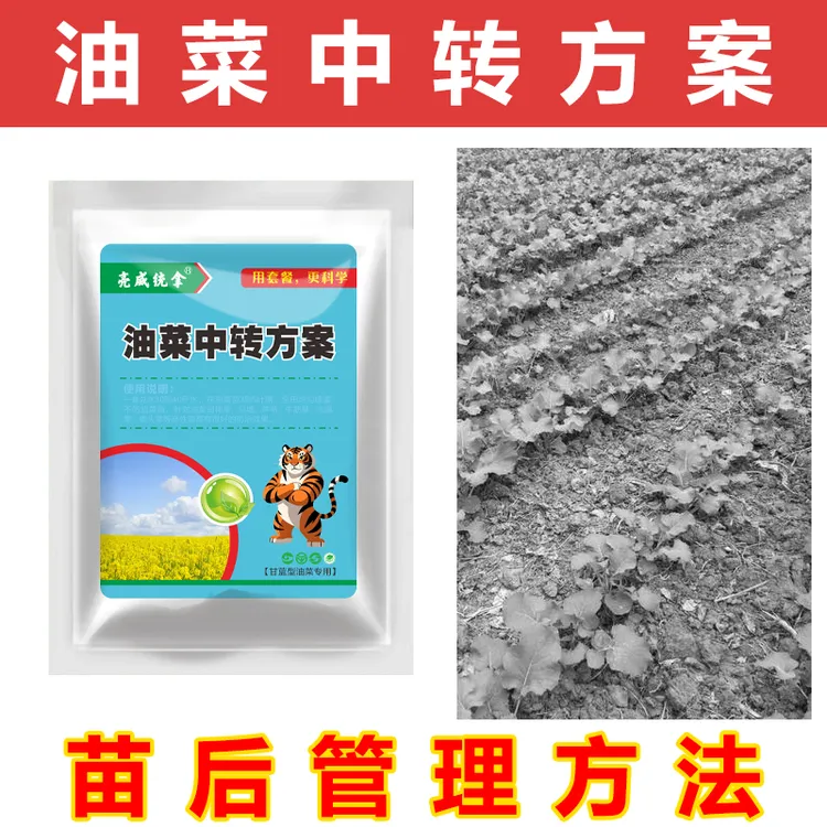 1油菜中转方案苗后3~5叶全田喷不影响作物生长有机质肥料