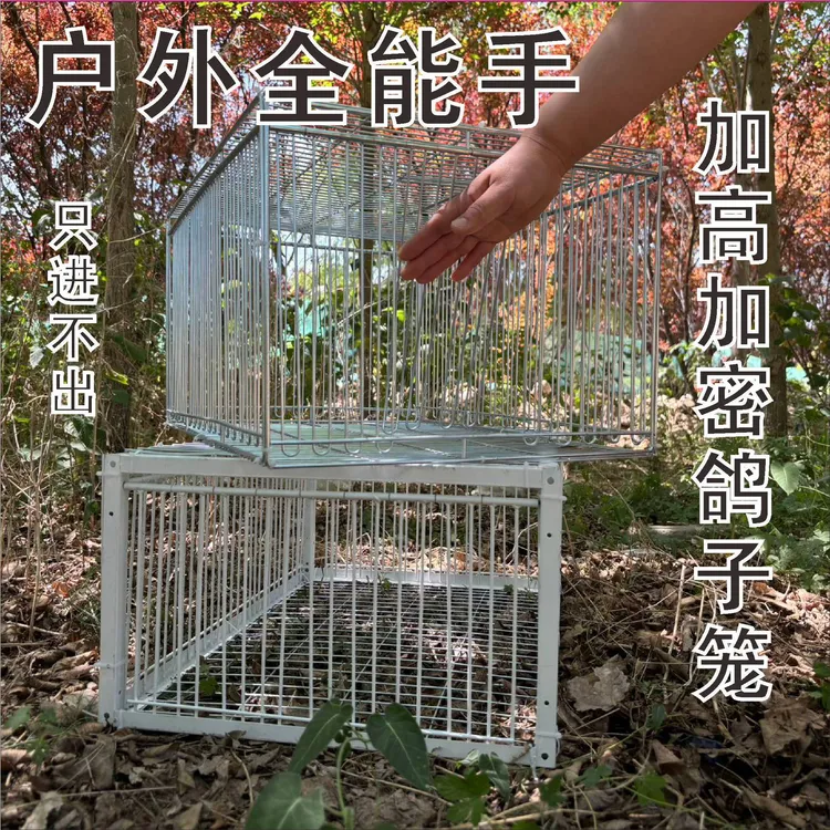 天落笼户外家用屋顶只进不出鸽子笼活络撞门信鸽自动门进鸽子神器