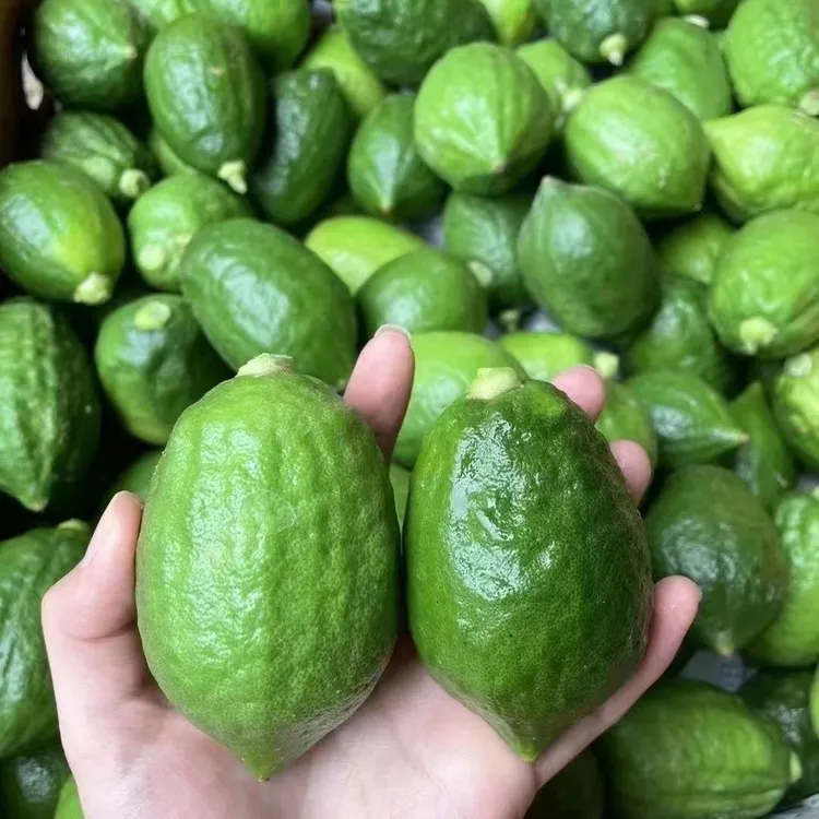 广东香水柠檬新鲜批发一级手打鸭屎香奶茶柠檬