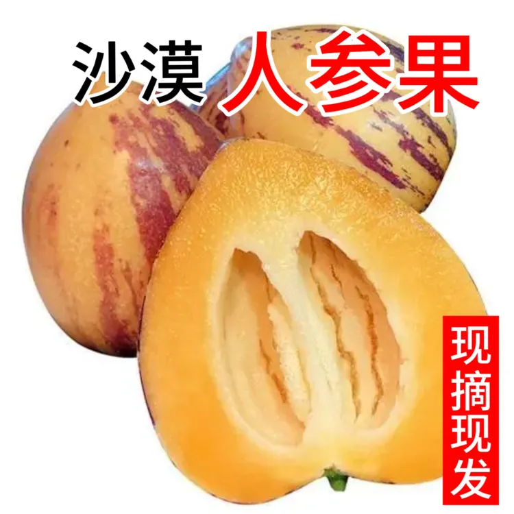 【现摘现发】甘肃民勤人参果5/8斤，坏果包赔 自产自销