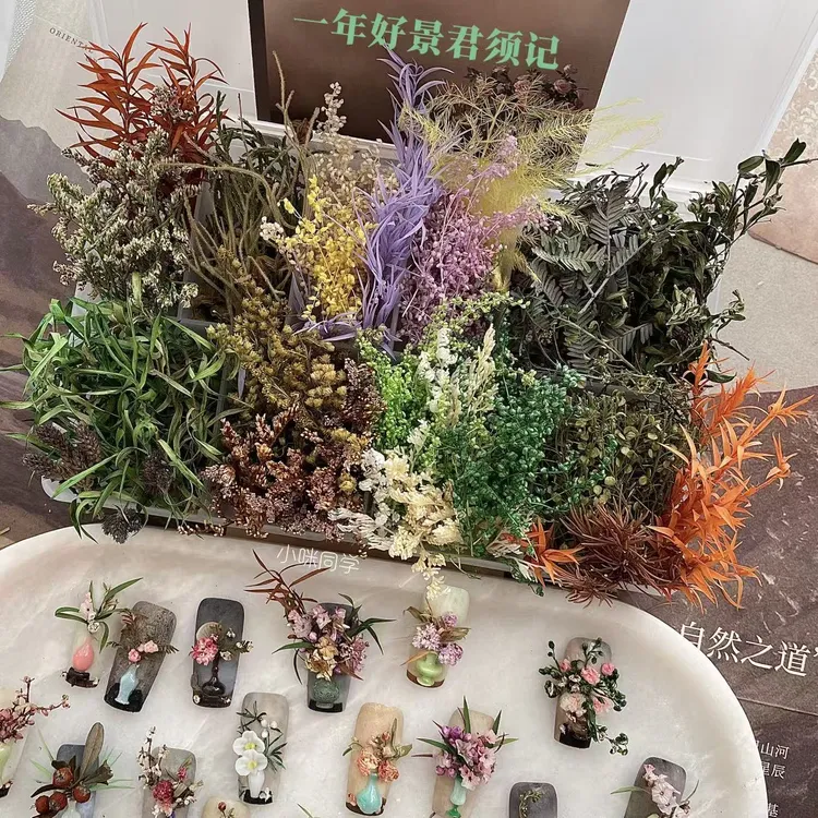 小咪同学原创美甲立体干花十格Puls