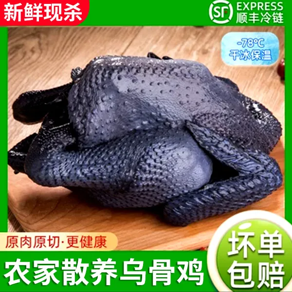 现杀农家乌骨鸡新鲜土鸡乌鸡非活鸡生鲜冷冻整只顺丰包邮煲汤滋补