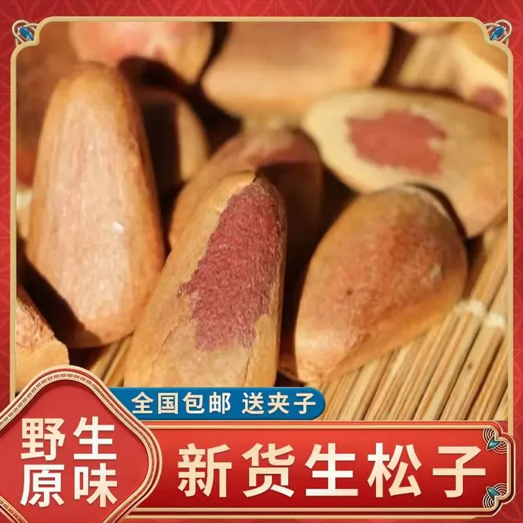 2025年新货东北红松子生松子不开口原味无添加中大颗粒饱满包邮
