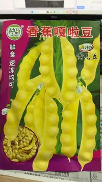 种盈香蕉嘎啦豆 黄几豆豆角种子