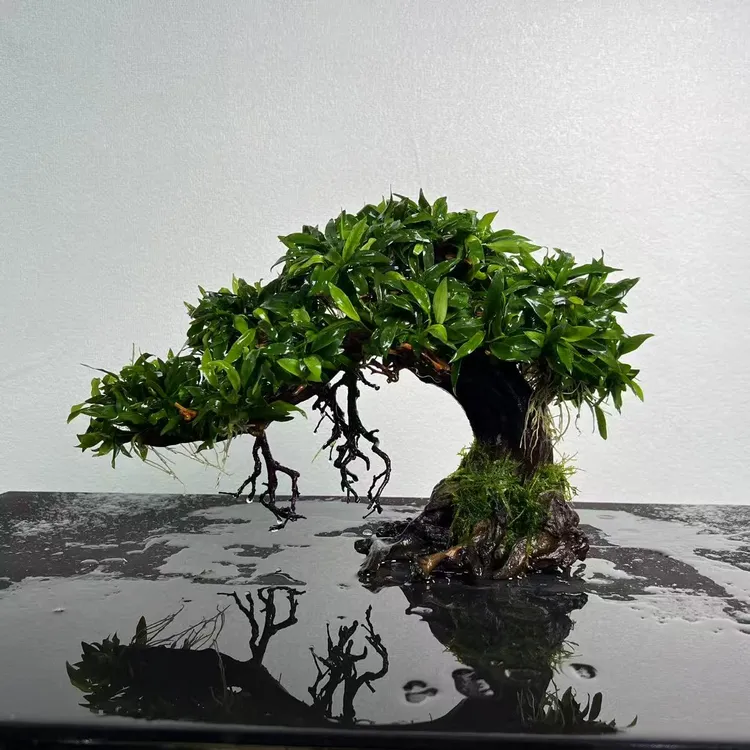 鱼缸造景3040506080小米当贝几何鱼缸造景套餐水草生态缸造景摆件