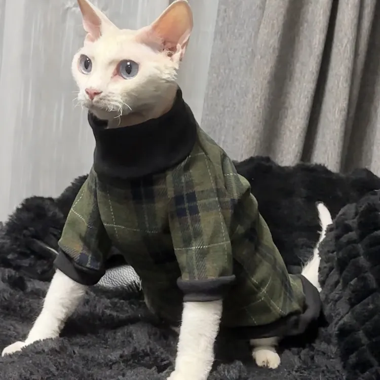 复古英伦风格子两脚衣德文猫衣服无毛猫衣服保暖舒适潮牌柔软卫衣
