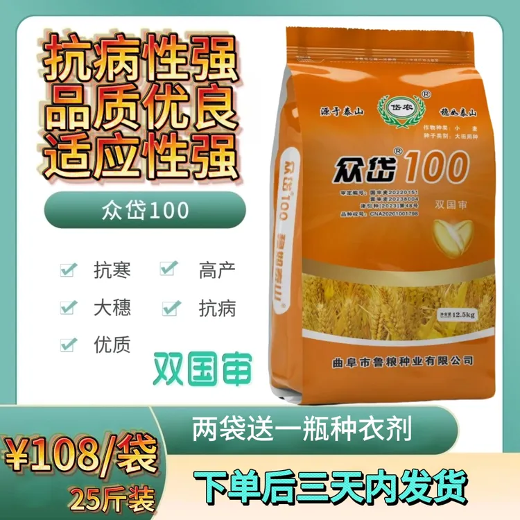 众岱100（曲阜鲁粮）25斤装抗寒抗病优质高产大穗小麦种