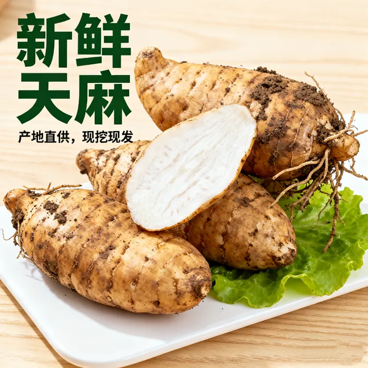 （月亮坪）新鲜乌天麻仿野生种植可炖肉煲汤营养丰富