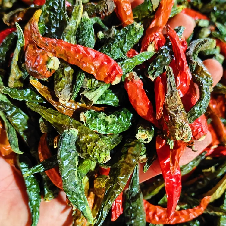 2025新货青辣椒干爆辣脱水干辣椒青红辣椒干小米辣干椒干辣椒