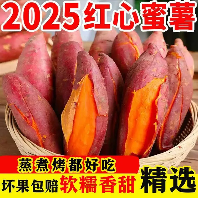 【9斤聚划算】2025现挖沙地蜜薯 软糯香甜无筋无丝3斤5斤