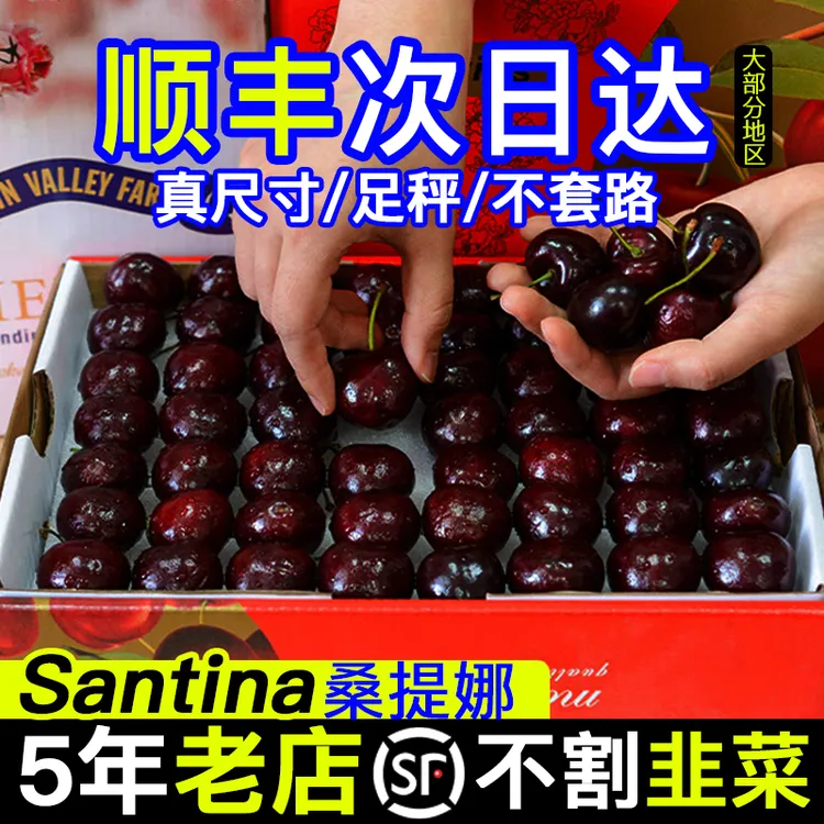 智利进口空运黑车厘子桑缇娜J-5J净重800g、3斤、5斤x 内附果径卡