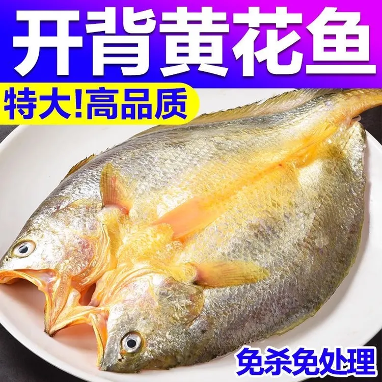 特大黄花鱼新鲜开背黄鱼鲞三去免处理大黄花冷冻海鱼海鲜水产