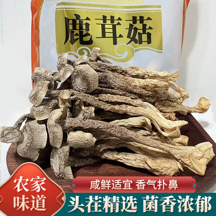 鹿茸菇250g新货高山精选煲汤火锅食材干货菌菇正宗蘑菇干蘑菇