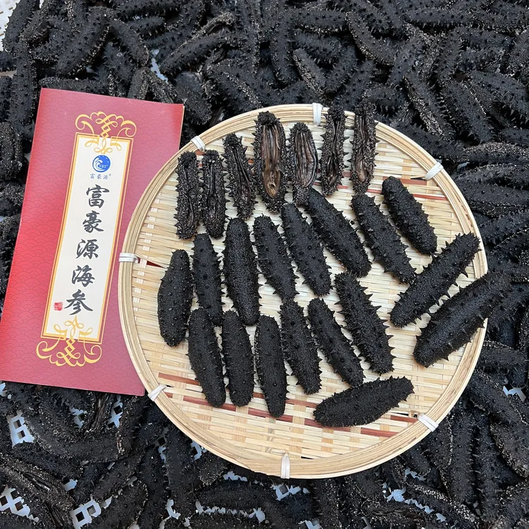 一斤富豪源干海参 淡干海参500g SC工厂店
