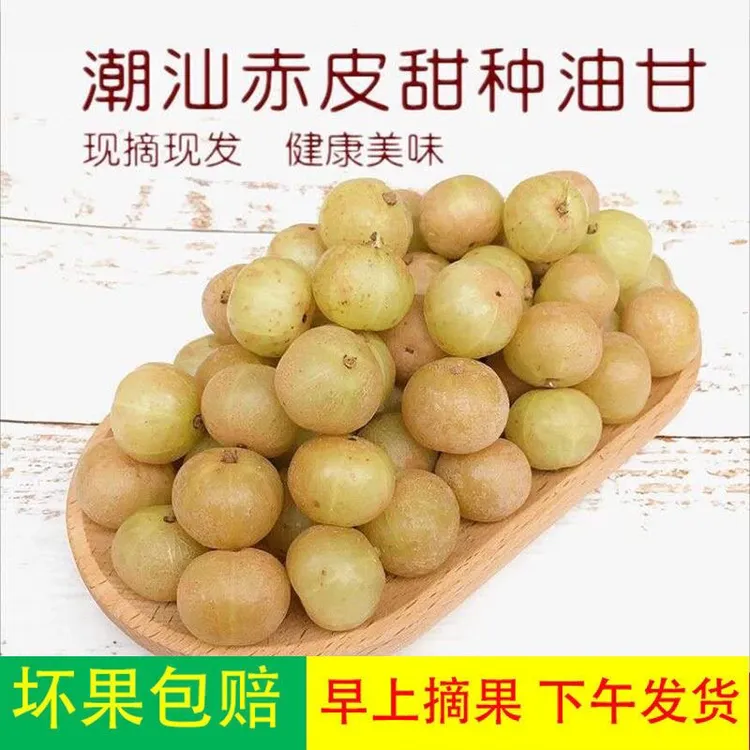 潮汕金灶赤皮油柑小个粗皮油柑酸涩度低回甘好煲汤榨汁  一斤装
