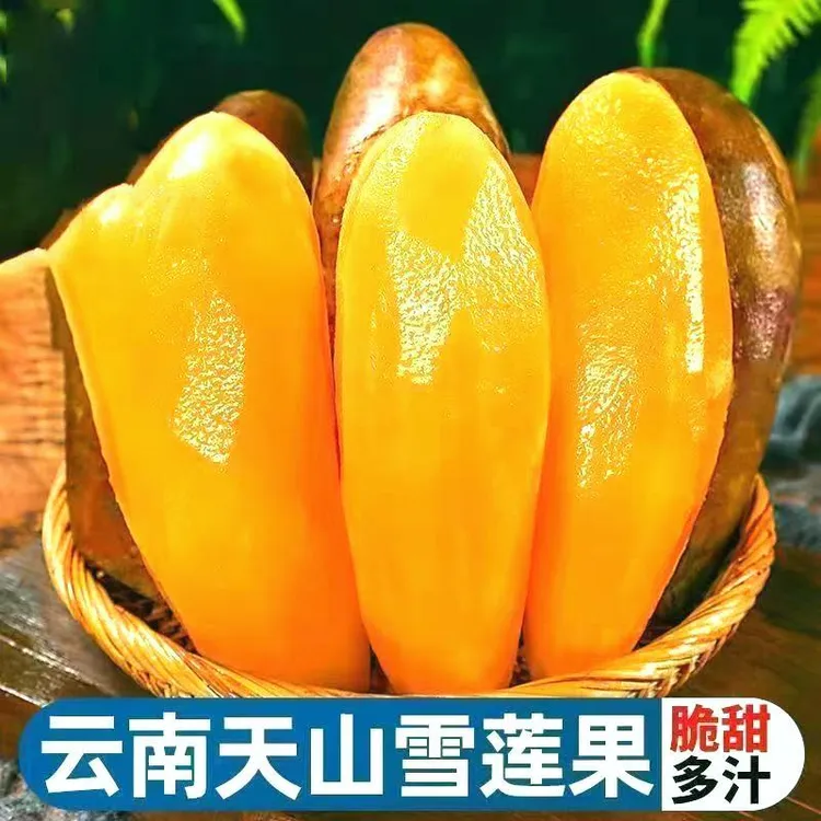 现挖云南正宗天山雪莲果新鲜脆甜多汁应季水果老婆