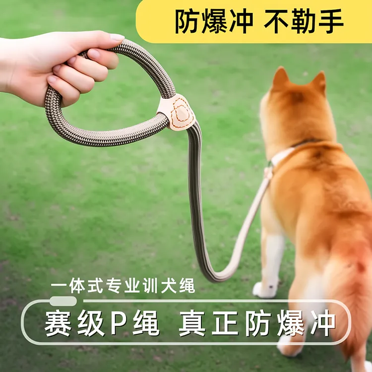 【防爆冲】狗绳训犬P链小中大型犬加长狗链子狗狗牵引绳遛狗狗P绳