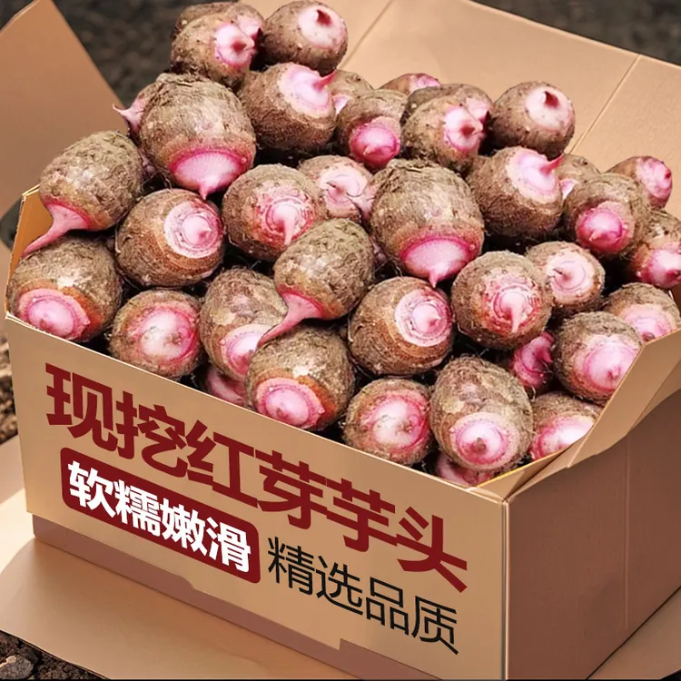 【贵州红芽芋头】现摘红芽芋仔小芋头芋仔香芋农家粉糯毛芋牛奶芋头
