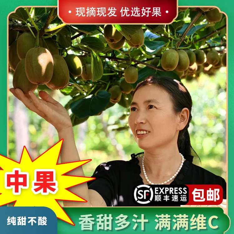 中果 产地直采碧玉猕猴桃 软糯多汁香甜可口 当季水果（叶子专享）