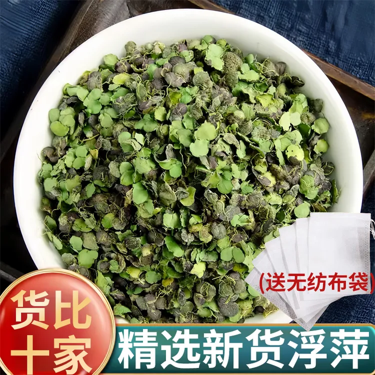 浮萍中药材正品新鲜干货紫背浮萍田萍浮萍水草干浮萍浮萍茶泡水喝
