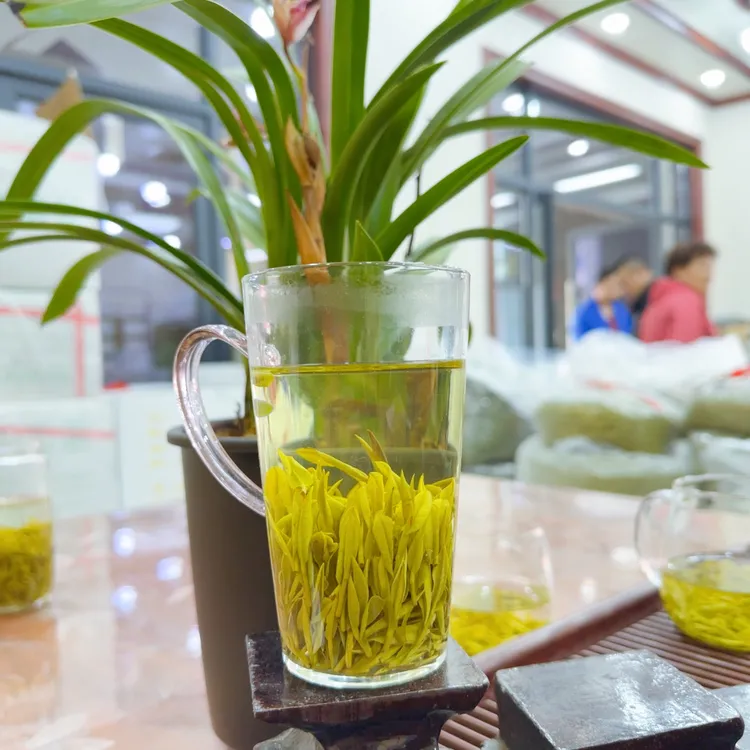 黄杜村兰花香白茶