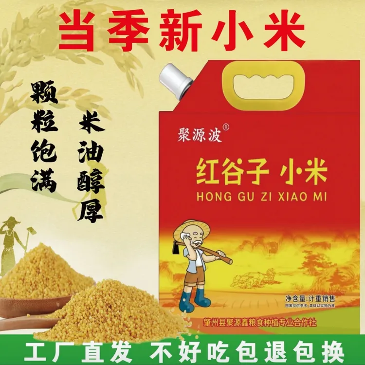 东北小米农家5斤 口感粘软糯 