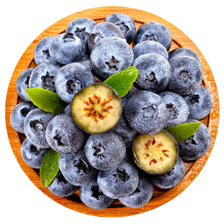 云南高山花香蓝莓新鲜采摘现发100g/盒 脆甜蓝莓大果 坏果包赔