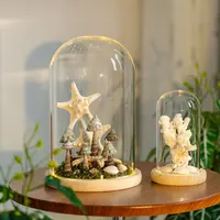 【七呀】永生花玻璃罩微景观玩偶摆件发光底座带灯手办防尘罩摆件