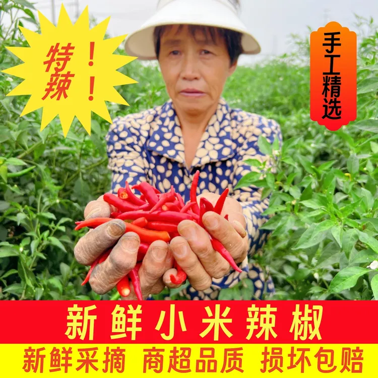 新鲜采摘小米辣椒当季红辣椒朝天椒可做剁椒酱特辣皮薄手工精选