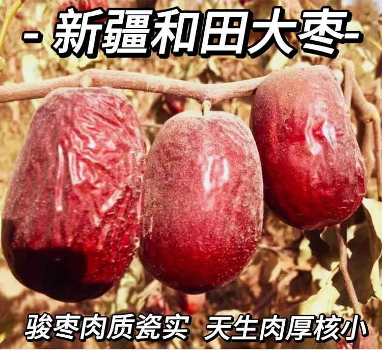 正宗新疆和田大枣<骏枣>天生肉厚核小 肉质瓷实 煮粥煲汤全国包邮
