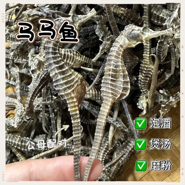 正品海干货马馬干 泡酒煲汤磨粉 海产干货（保正品证件齐全）