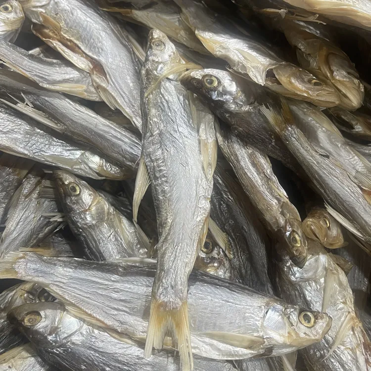 去头微瑕翘嘴鱼10cm左右